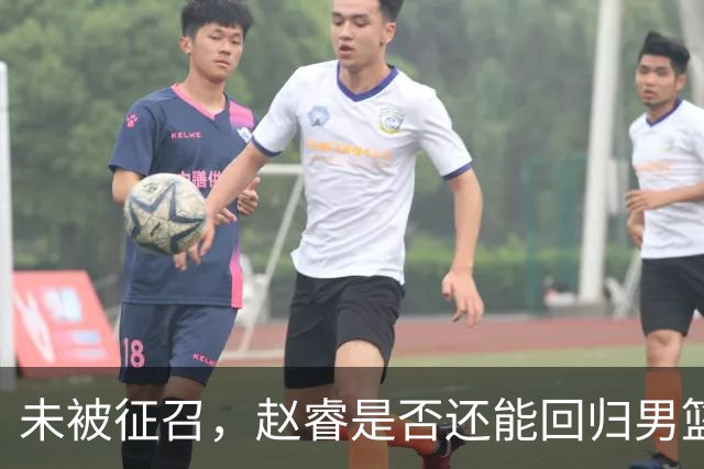 未被征召，赵睿是否还能回归男篮？郭士强的选择曝光，周琦回归成定局