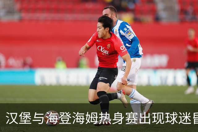 汉堡与海登海姆热身赛出现球迷昏迷，队医和救护车先后急救